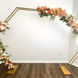 Hexagon Gold Backdrop